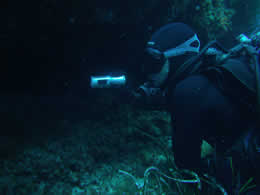 using underwater diving camera 